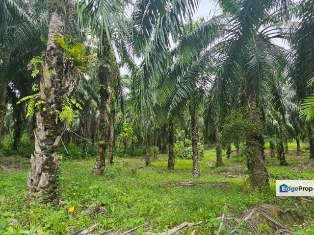 Shop for sale in Perak, Perak Tengah