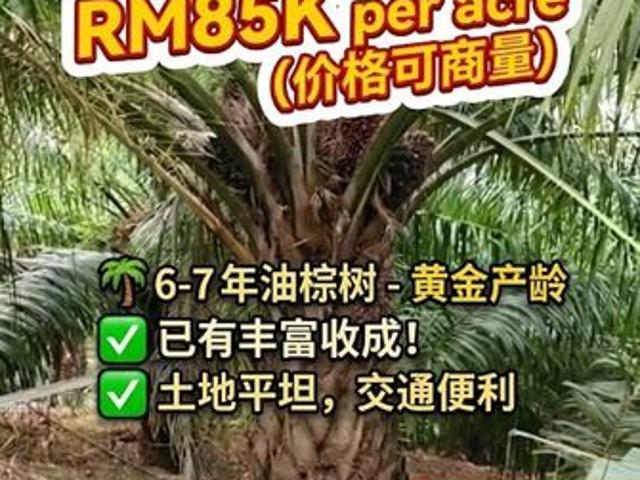 Shop for sale in Perak, Perak Tengah