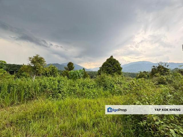 Shop for sale in Perak, Perak Tengah