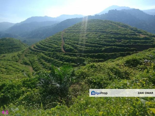 Shop for sale in Perak