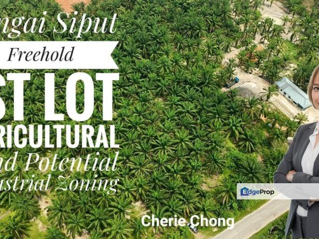Shop for sale in Perak, Perak Tengah