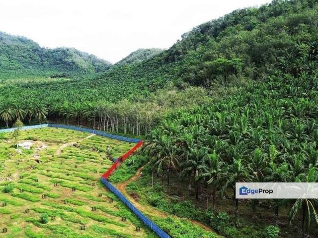 Shop for sale in Perak, Perak Tengah
