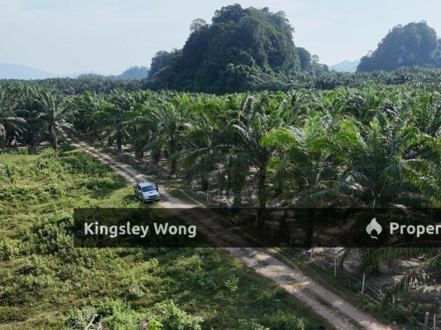 Property for sale in Perak, Perak Tengah