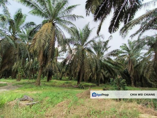 Warehouse for sale in Pasir Gudang, Johor