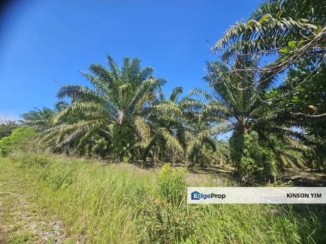 Warehouse for sale in Pasir Gudang, Johor