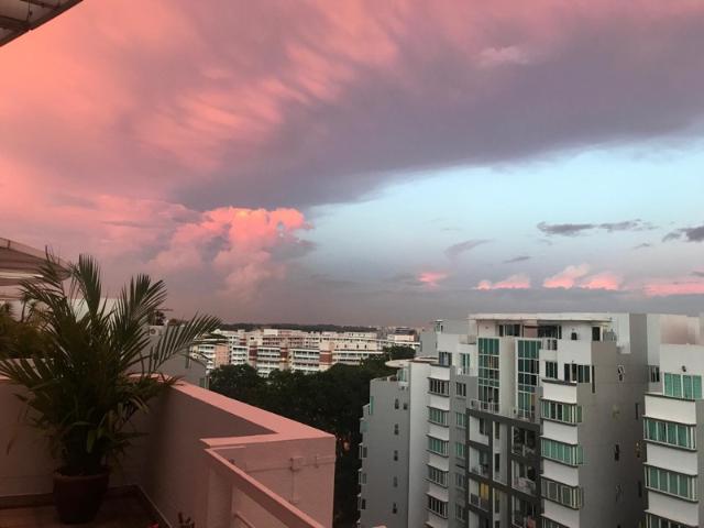 Condominium for sale