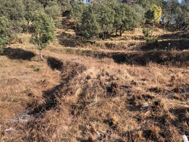 Land for sale in Mukteswar-kumaon, Uttarakhand