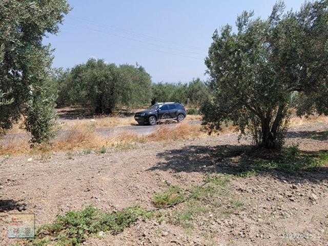 Akhisar, Manisa içerisinde satılık mülk