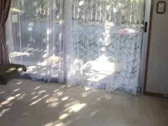 Apartment for rent in Manurewa