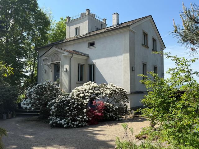Apartment mieten in Loschwitz, Dresden