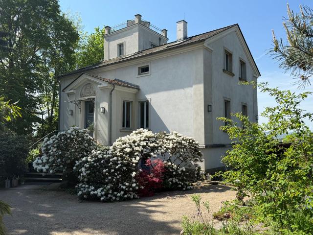 Apartment mieten in Loschwitz, Dresden