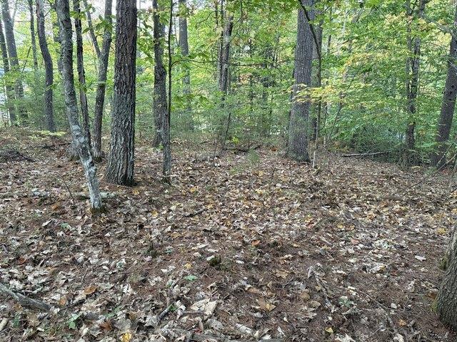 Land for sale in East Waterboro, Maine