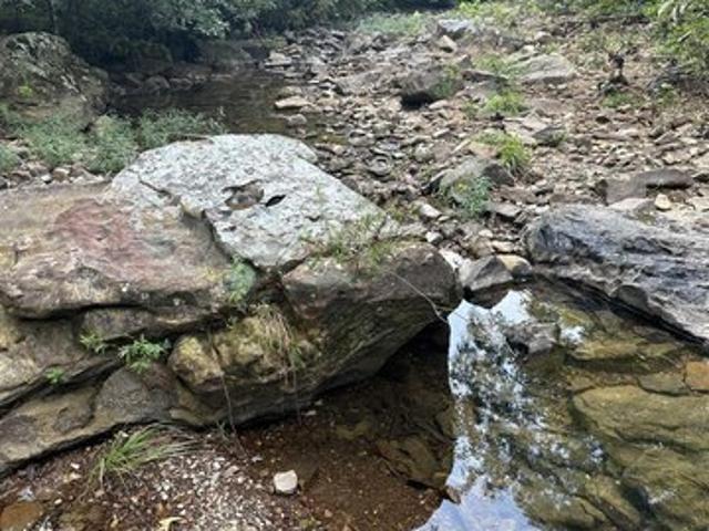 Land for sale in Mountain View, Stone County