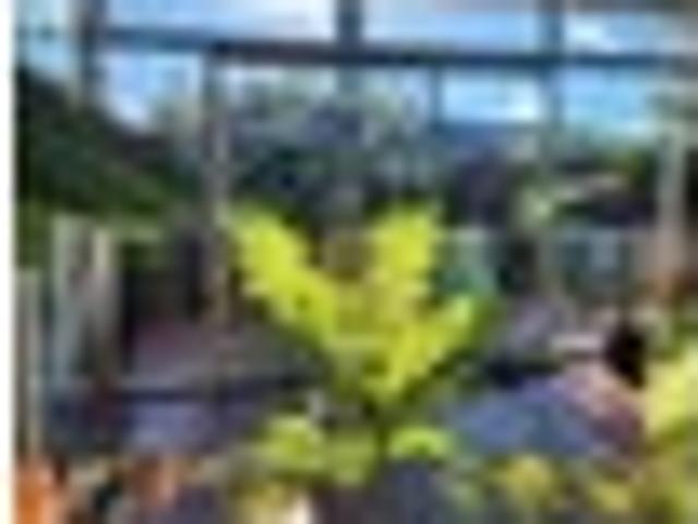 House for sale in Awhitu, Oroua County
