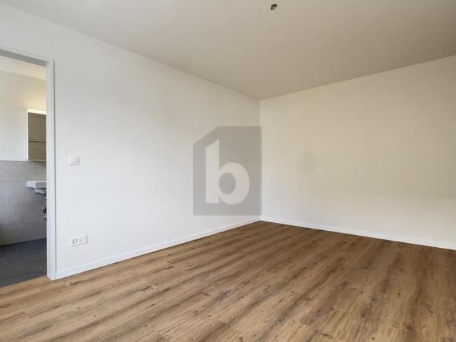 Apartment mieten in Ebnat-Kappel, St. Gallen