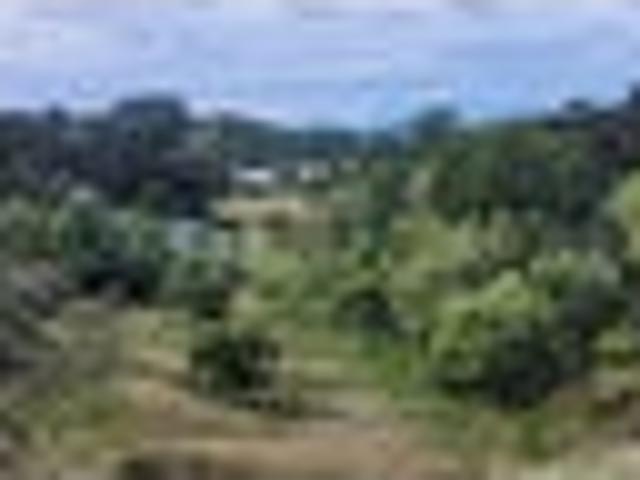Land for sale in Bay Of Plenty