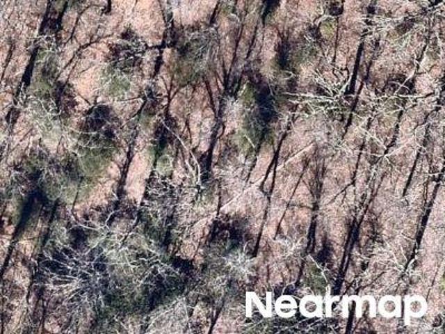 Land for sale in North Carolina