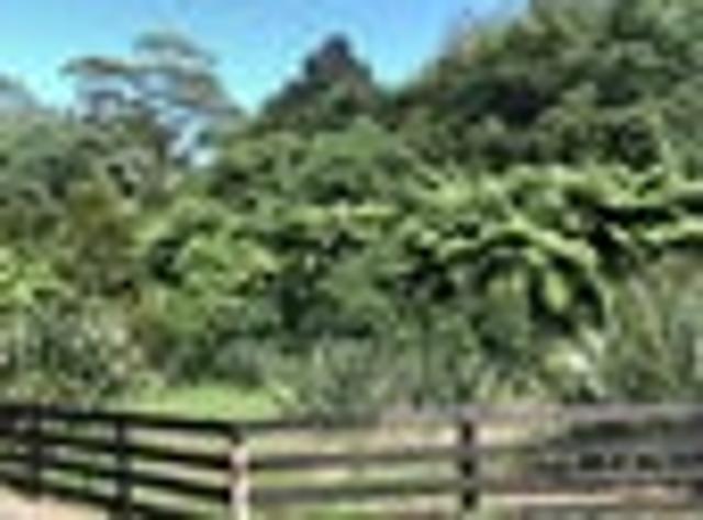 Land for sale in Waikato