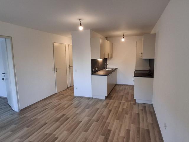 Wohnung mieten in Seestadt, Wien
