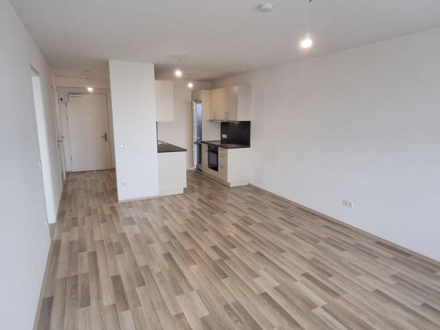 Wohnung mieten in Seestadt, Wien