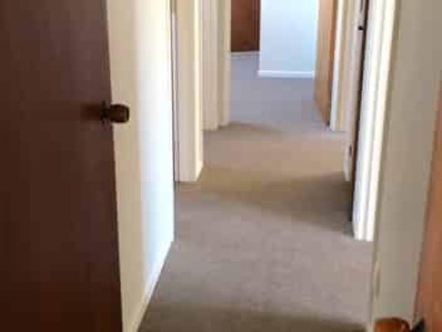 House for rent in Cable Bay, Nelson Bays