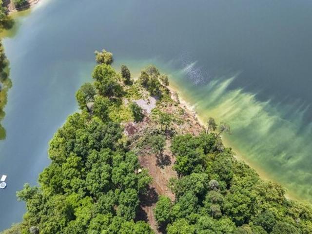 Land for sale in White Pine