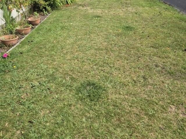 Apartment for rent in Bay Of Plenty