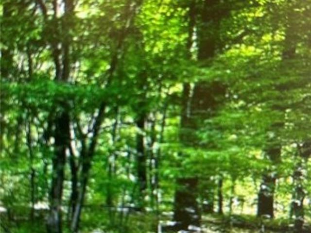 Land for sale in Cedar Hill, Missouri