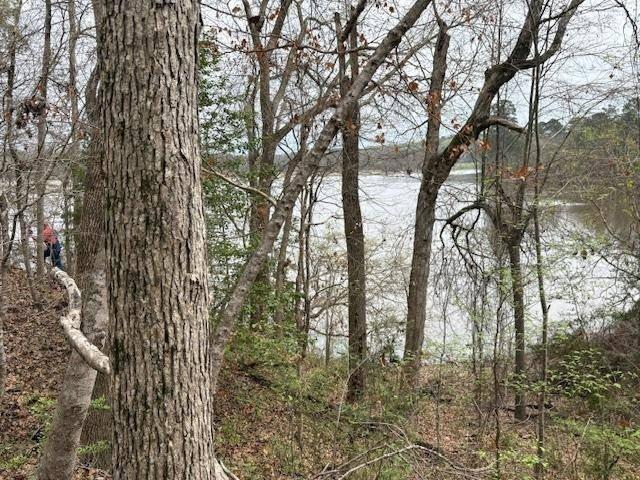 Land for sale in Many, Louisiana