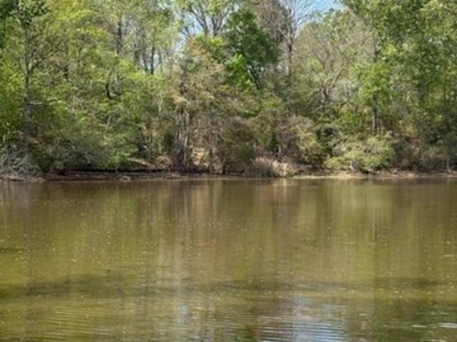 Land for sale in Many, Sabine Parish
