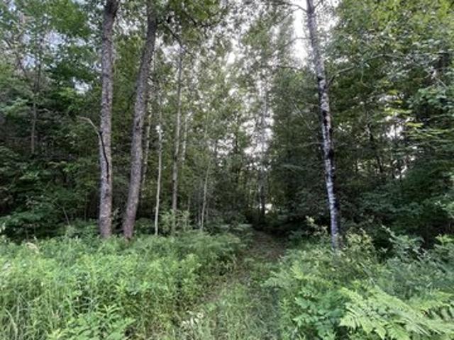 Land for sale in Elmira, Michigan