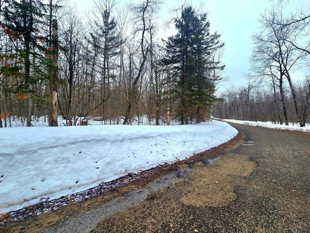 Land for sale in Elmira, Michigan
