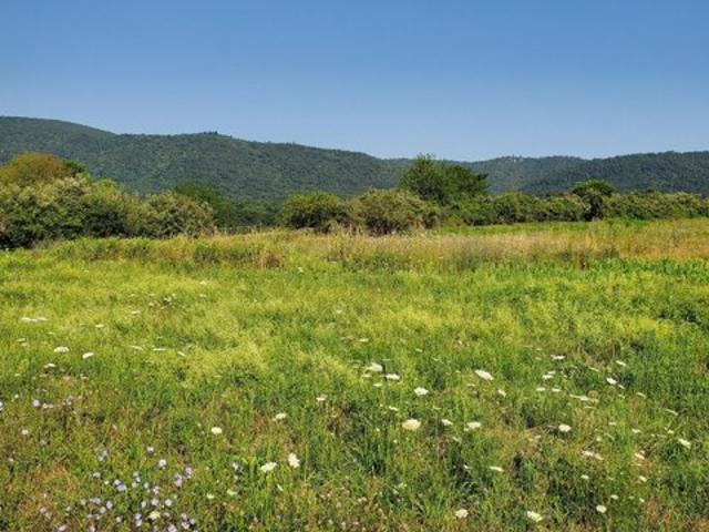 Land for sale in Pennsylvania