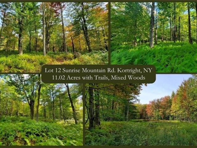 Land for sale in Bloomville