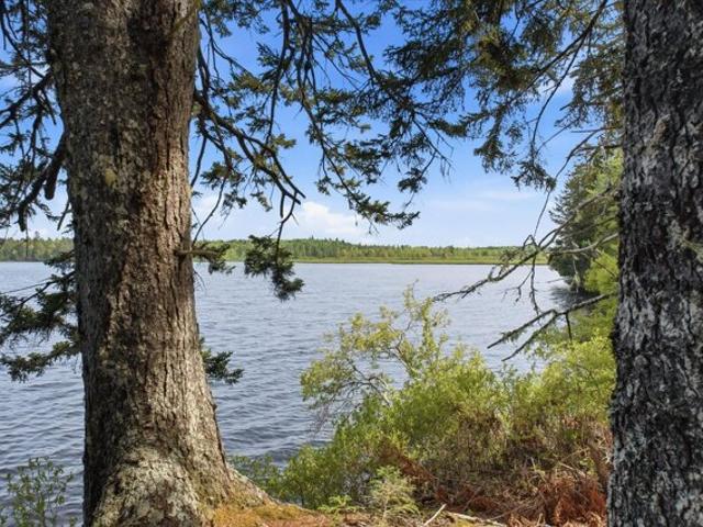 Land for sale in Whiting, Maine