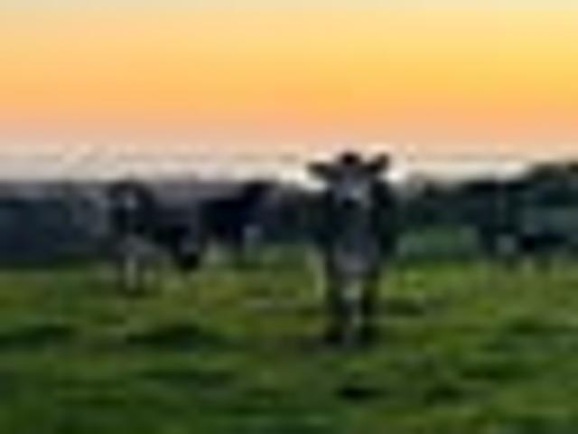 Land for sale in Western Bay of Plenty District, Bay of Plenty