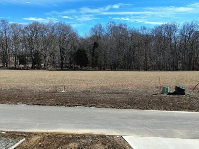 Land for sale in White Pine