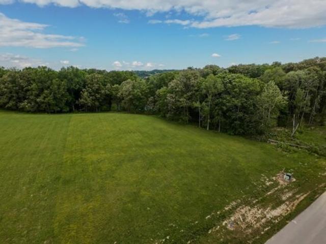 Land for sale in White Pine