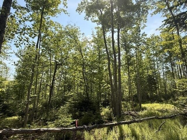 Land for sale in Orland, Maine