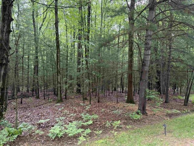 Land for sale in Sanford, Michigan