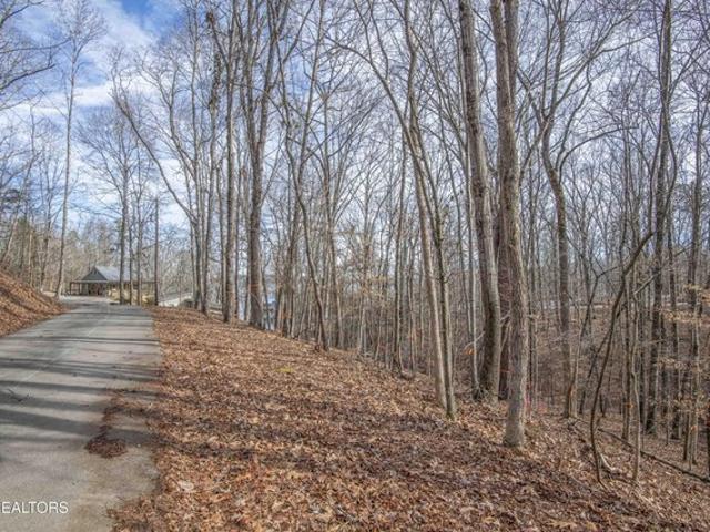 Land for sale in Tennessee