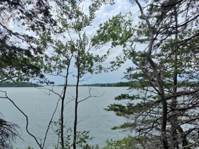 Land for sale in Eastport, Maine
