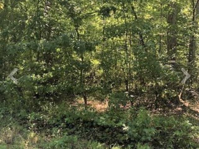 Land for sale in Tennessee