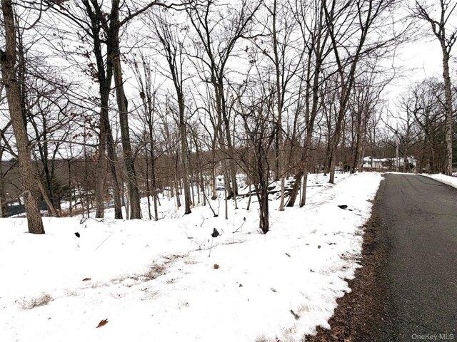 Land for sale in Holmes, New York