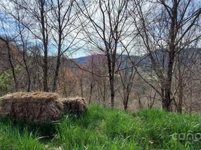 Land for sale in Clyde
