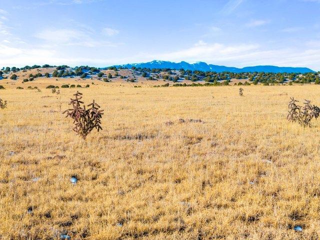 Land for sale in Rye, Colorado