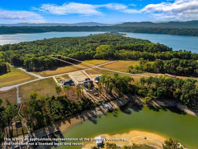 Land for sale in White Pine