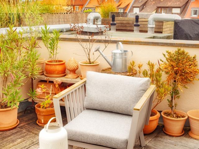 Apartment mieten in Würzburg Altstadt, Würzburg