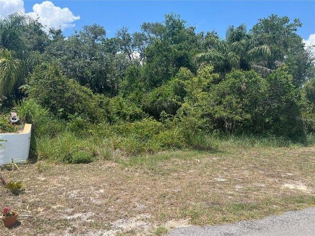 Land for sale in Babson Park, Florida