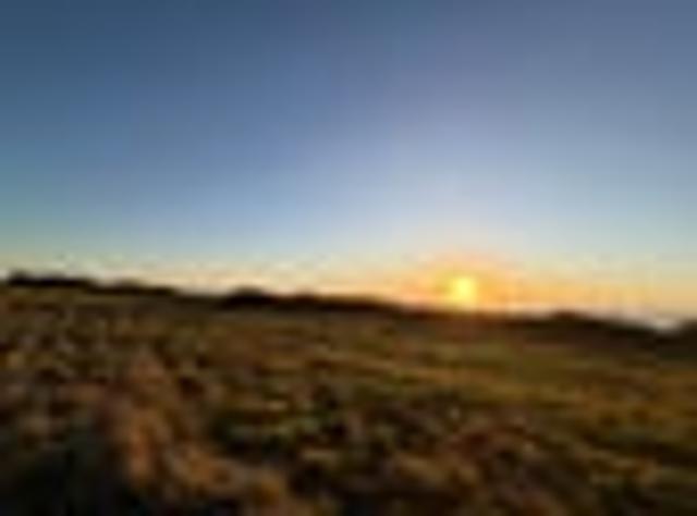 Land for sale in West Coast